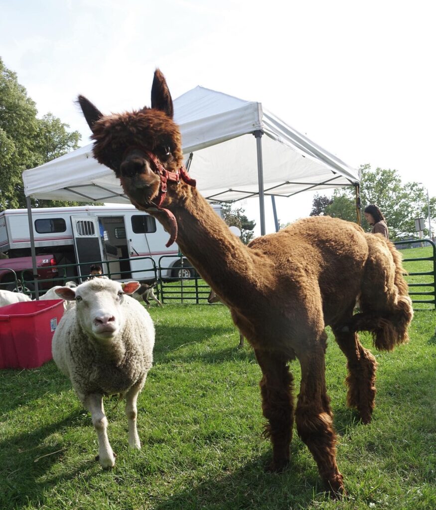 366271269_677064251127510_4544450044661003528_n