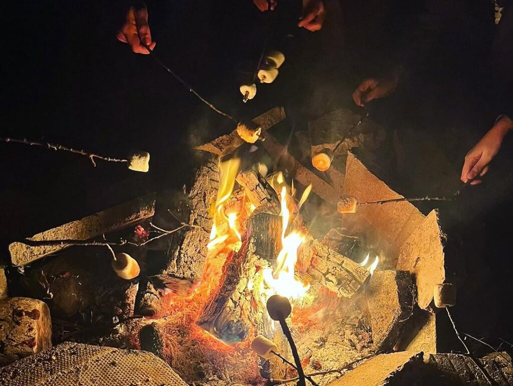 Snapinsta.app_468655861_18449002618070173_8353658814501637015_n_1080